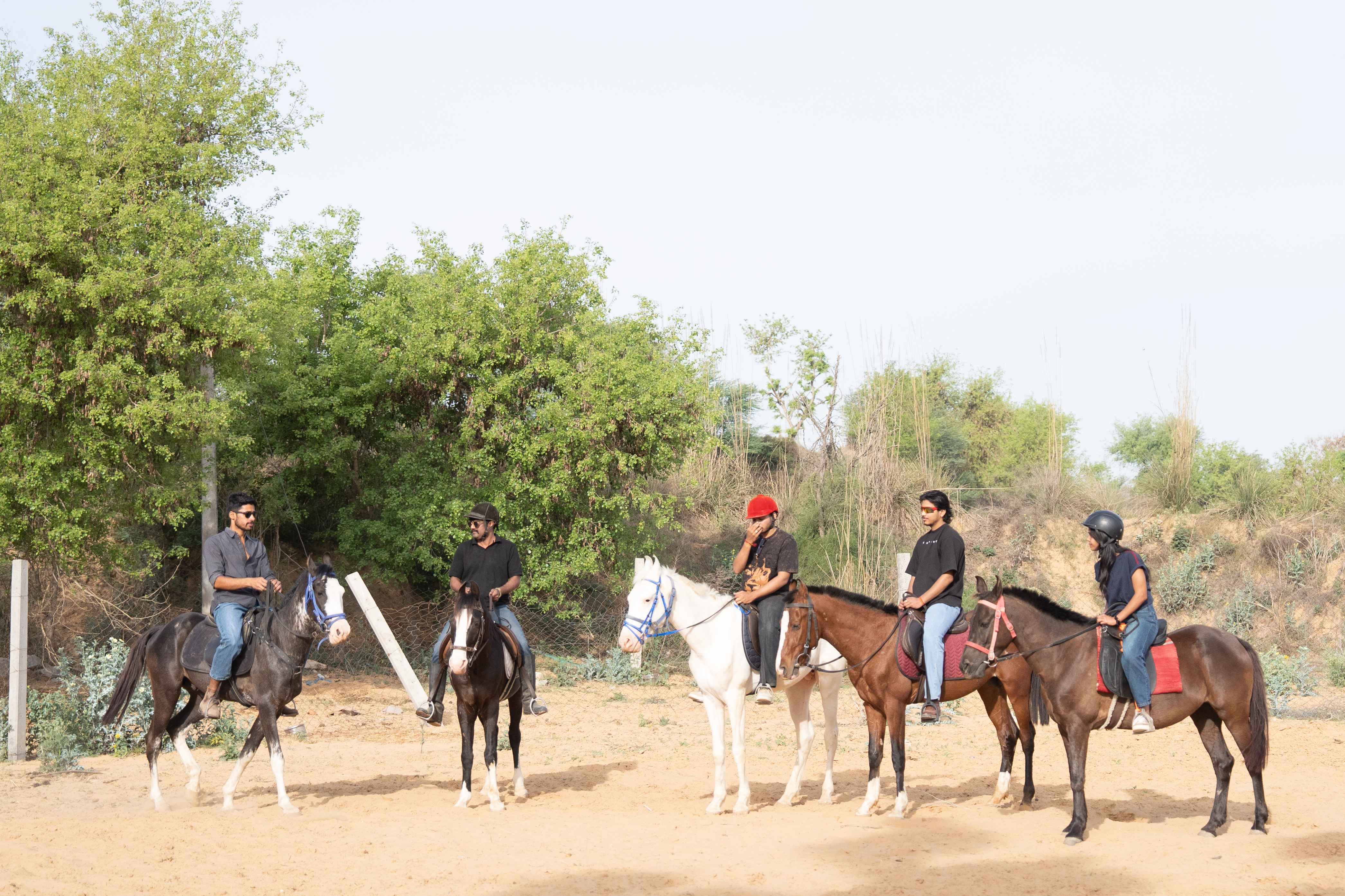 Safari guests on horses